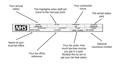 nsw det payroll contact number.